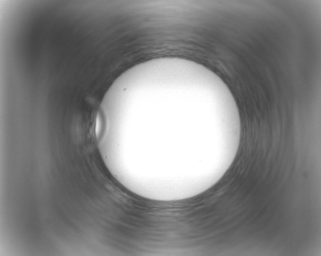 X0000068900237200605051149