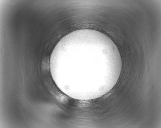 X0000068900240200605051149