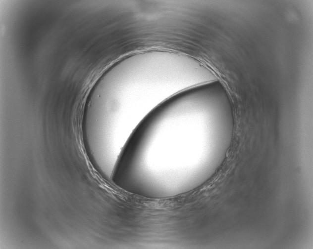 X0000068900241200605051148