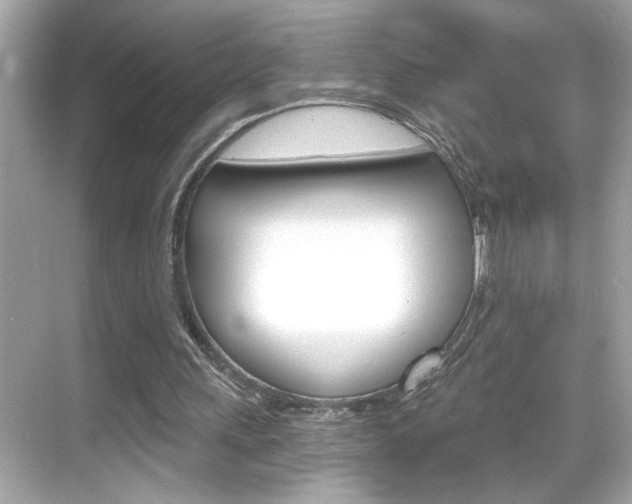 X0000068900243200605051148