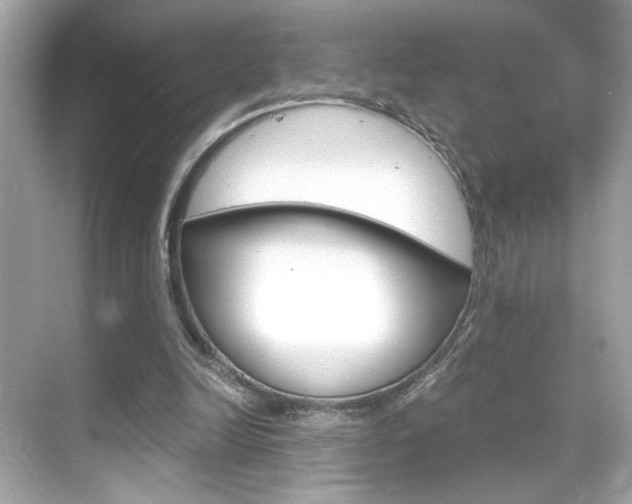 X0000068900246200605051148