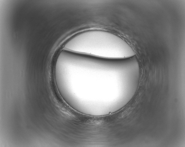X0000068900247200605051148