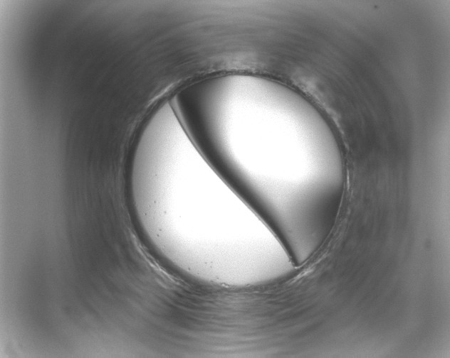 X0000068900249200605051148