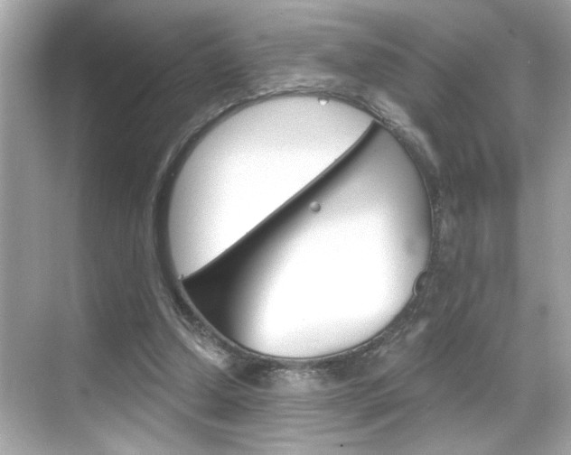 X0000068900250200605051148