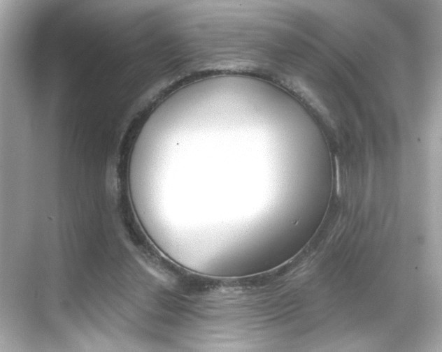 X0000068900252200605051148