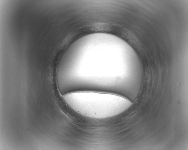X0000068900255200605051148