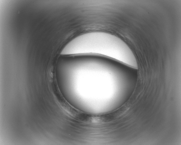 X0000068900264200605051148