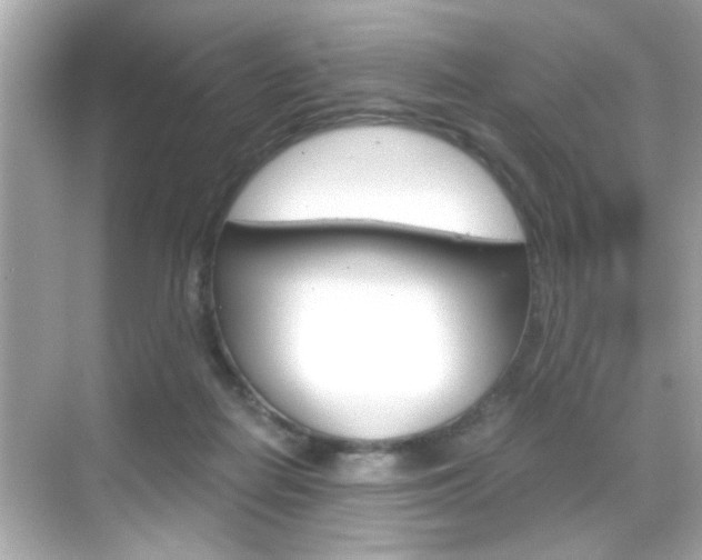 X0000068900266200605051148