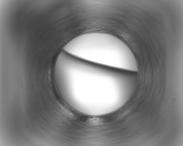 X0000068900269200605051148