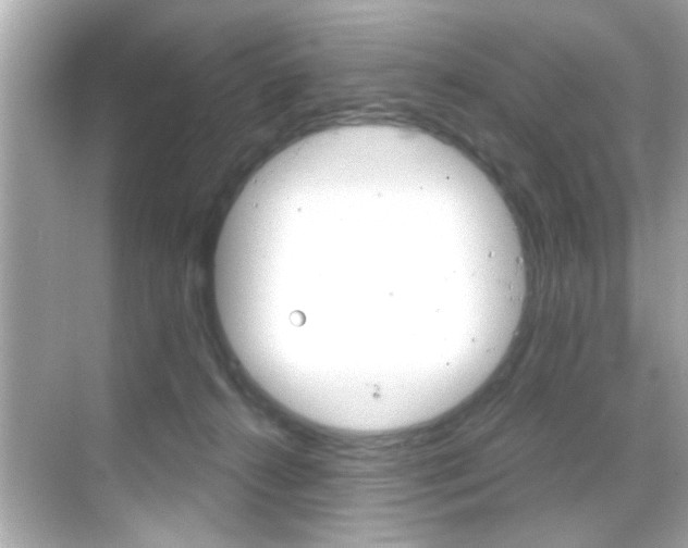 X0000068900272200605051148
