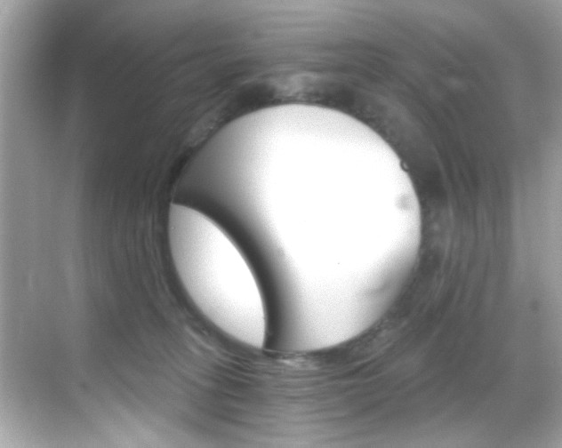 X0000068900275200605051149