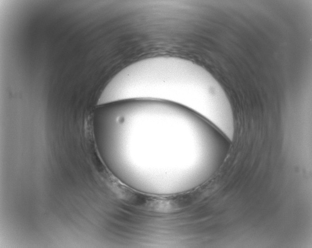 X0000068900276200605051149