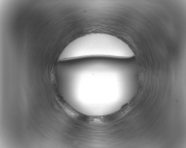 X0000068900285200605051149
