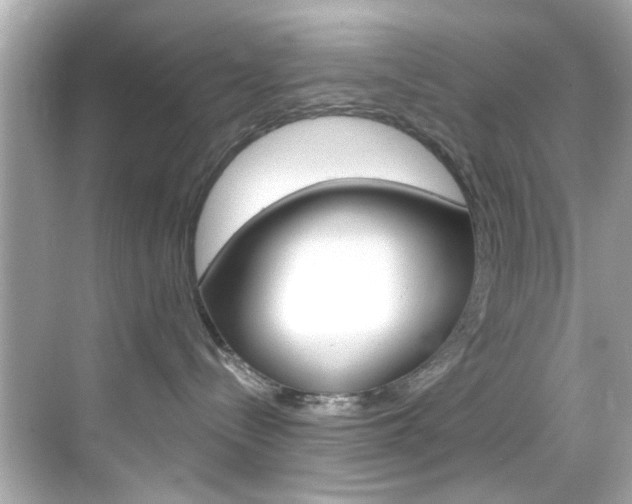 X0000068900288200605051149