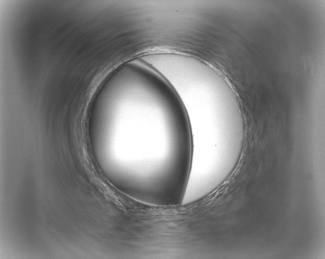 X0000068900289200605051148