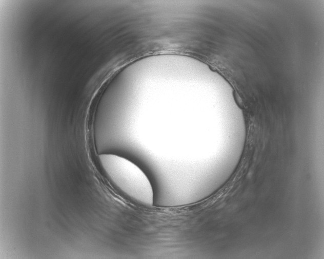 X0000068900290200605051148