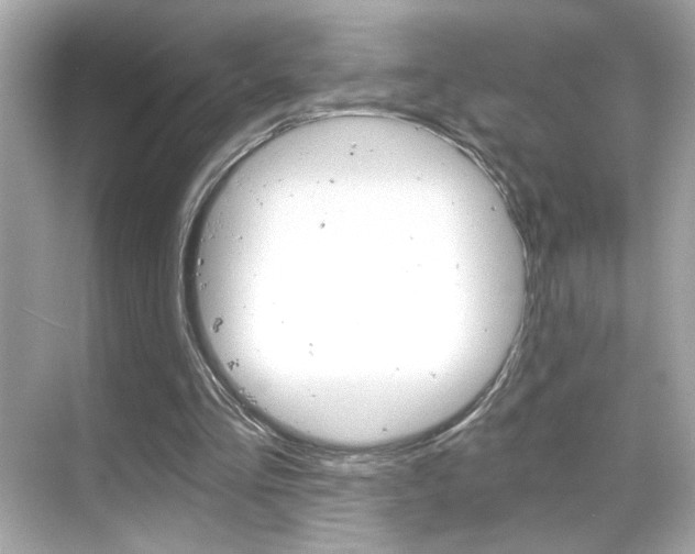 X0000068900293200605051148