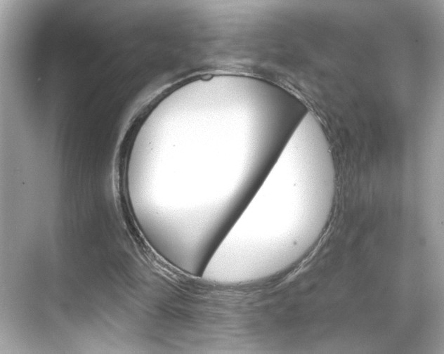 X0000068900294200605051148