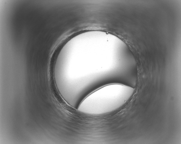X0000068900296200605051148