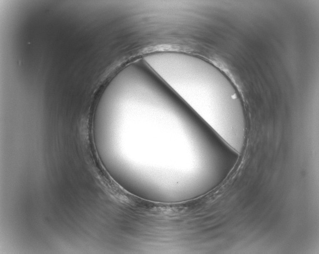 X0000068900297200605051148
