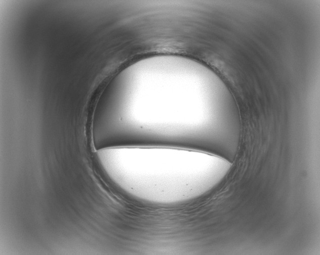 X0000068900299200605051148