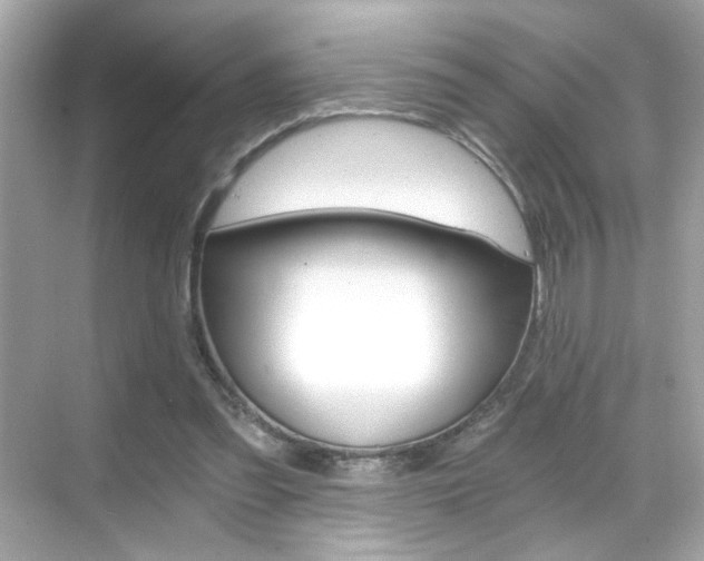 X0000068900301200605051148