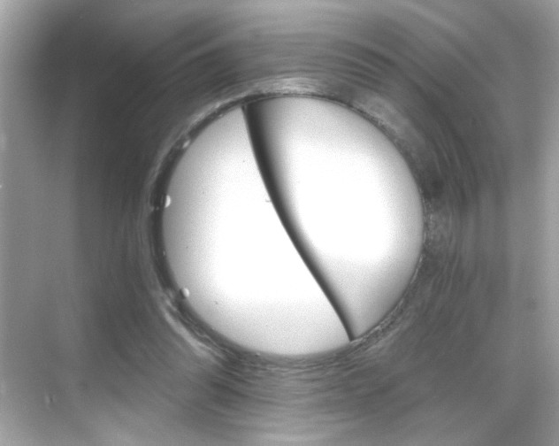 X0000068900302200605051148