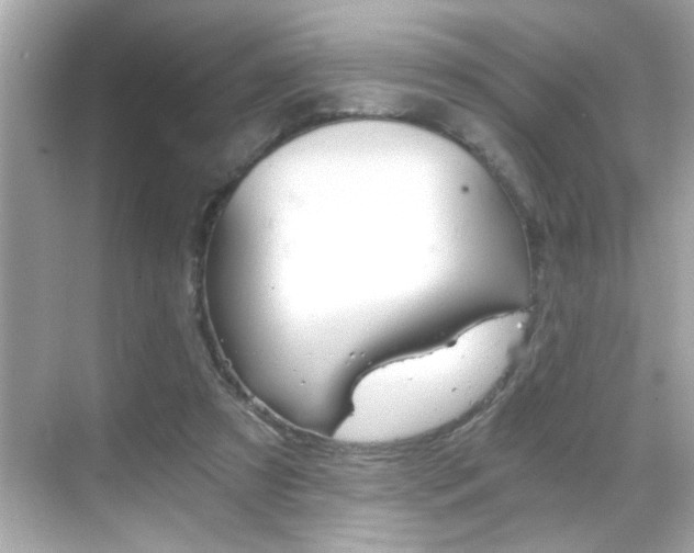 X0000068900305200605051148