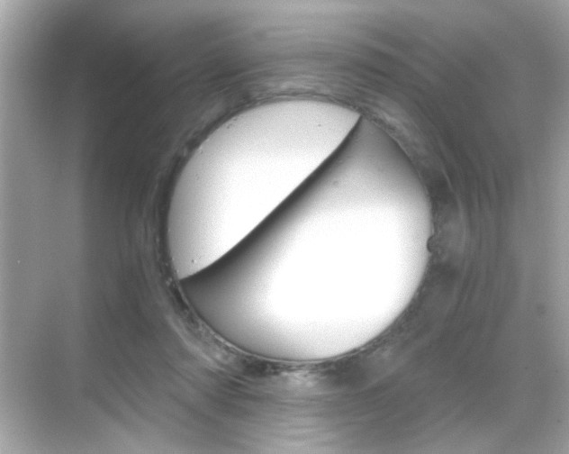 X0000068900310200605051148