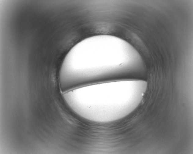 X0000068900312200605051148