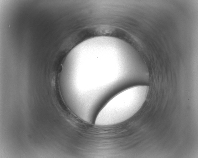 X0000068900315200605051147
