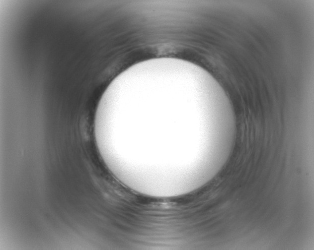 X0000068900316200605051147