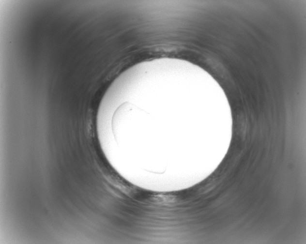 X0000068900328200605051147