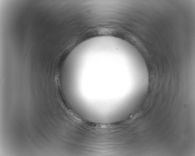 X0000068900329200605051147