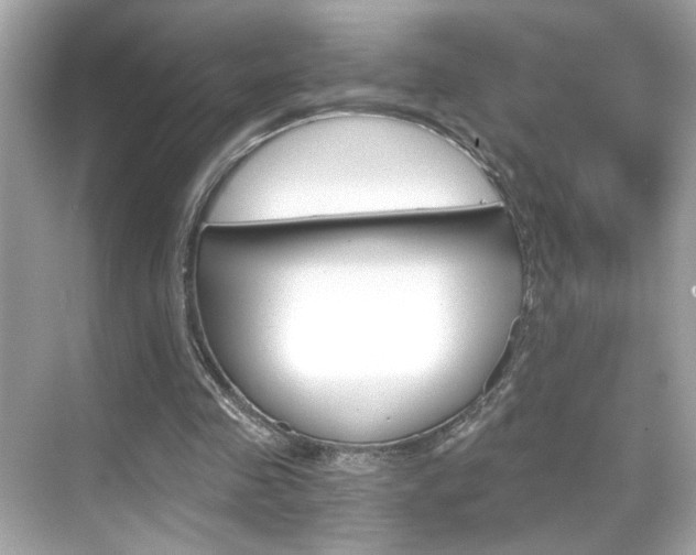X0000068900341200605051146