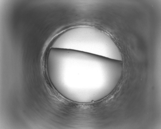 X0000068900343200605051146