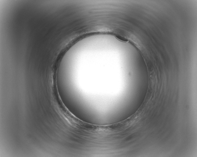 X0000068900350200605051147