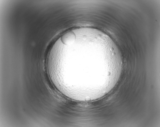 X0000068900351200605051147