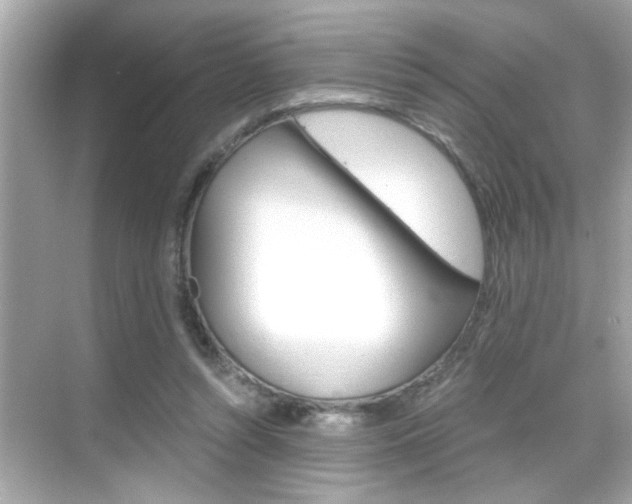 X0000068900352200605051147