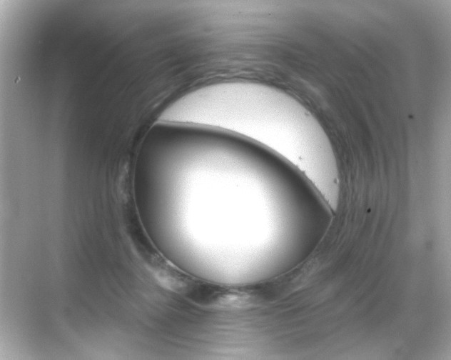 X0000068900364200605051147