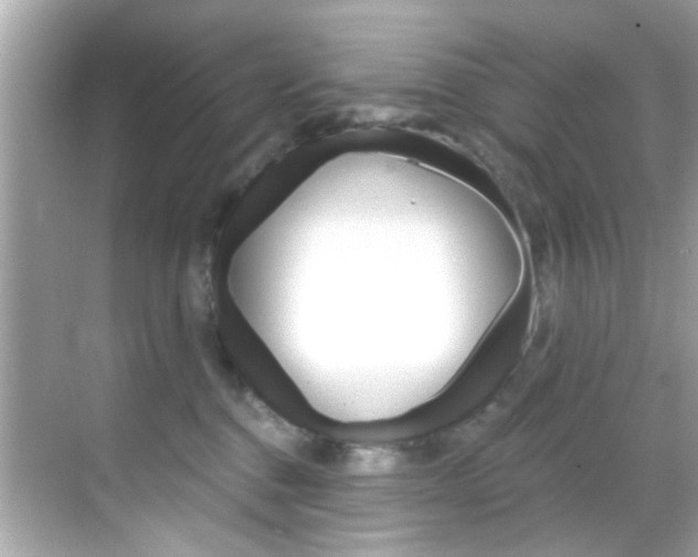 X0000068900376200605051147