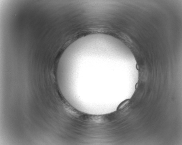 X0000068900377200605051147