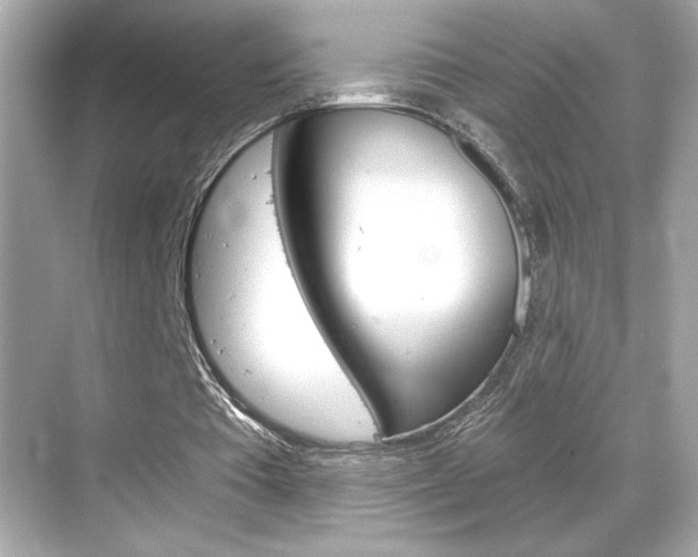 X0000068900385200605051146