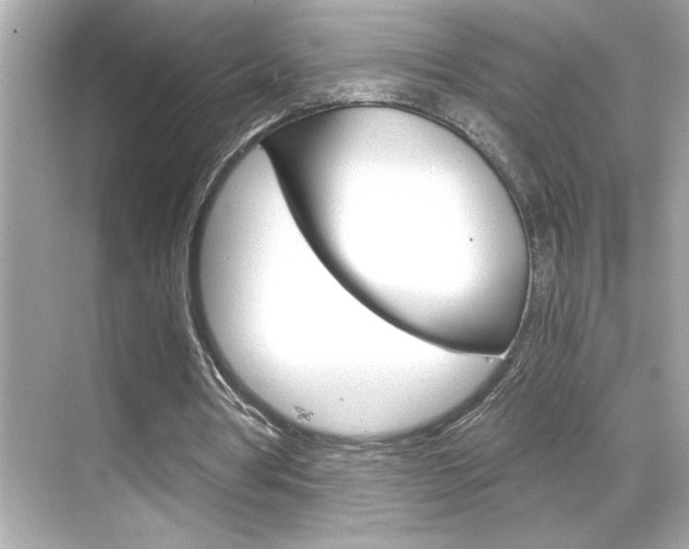 X0000068900386200605051146