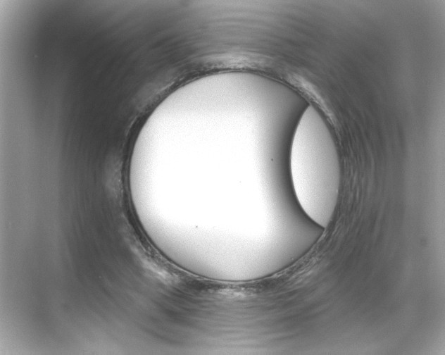 X0000068900394200605051146