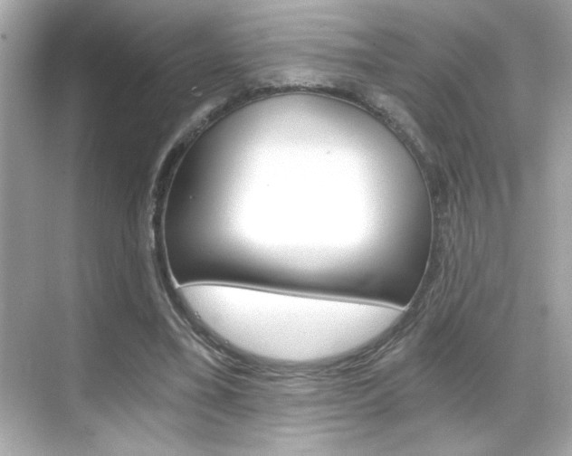 X0000068900395200605051146
