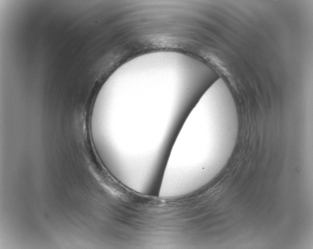 X0000068900398200605051146