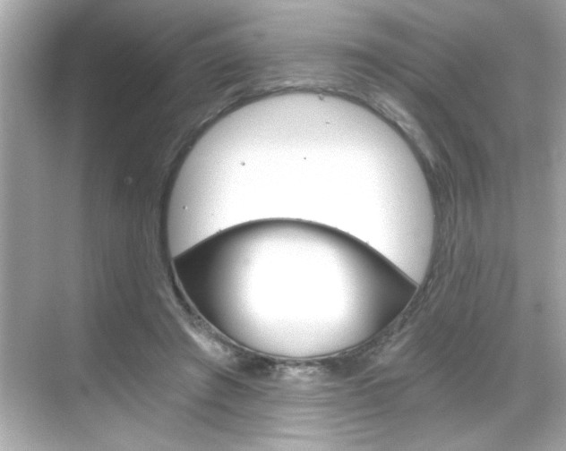 X0000068900401200605051146