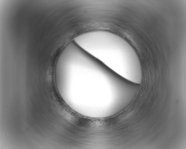 X0000068900402200605051146