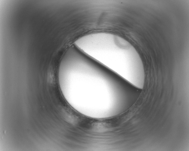 X0000068900408200605051146